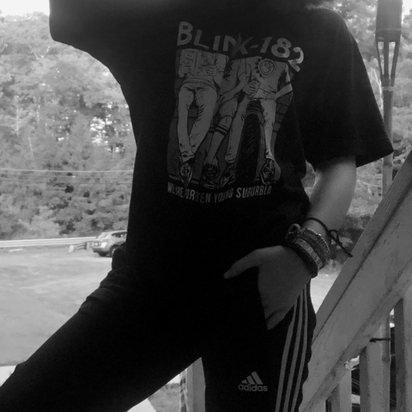 Meet your Posher, Skylar - Picture 1 of 1